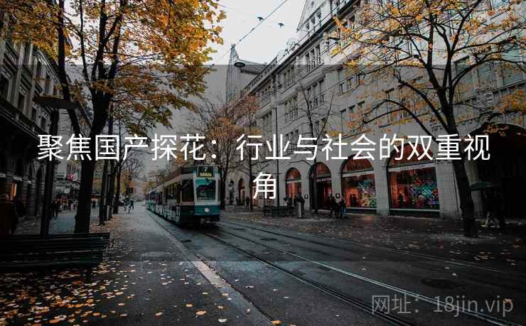 聚焦国产探花：行业与社会的双重视角