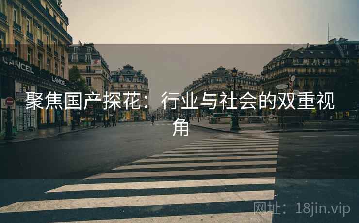 聚焦国产探花：行业与社会的双重视角