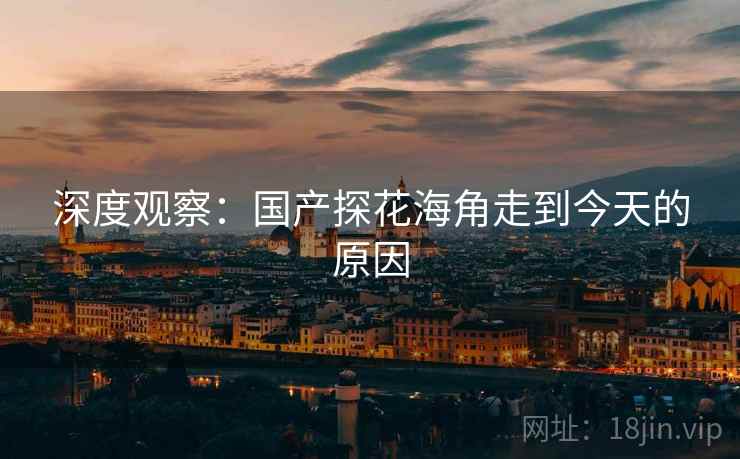 深度观察:国产探花海角走到今天的原因 深度观察:国产探花海角走到今天的原因
