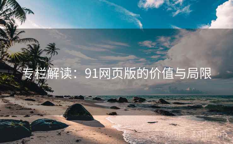 专栏解读：91网页版的价值与局限