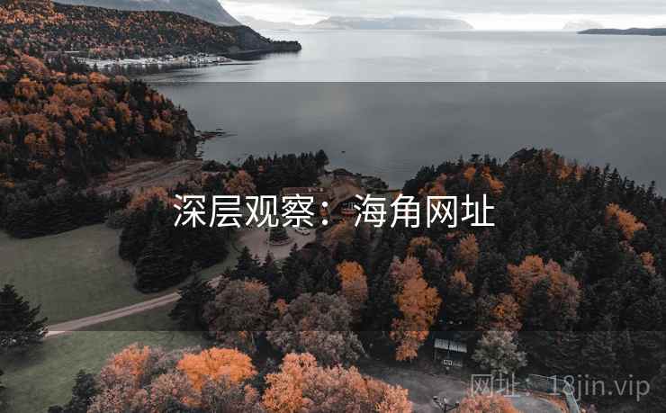 深层观察：海角网址